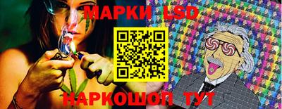 ешки Бердск
