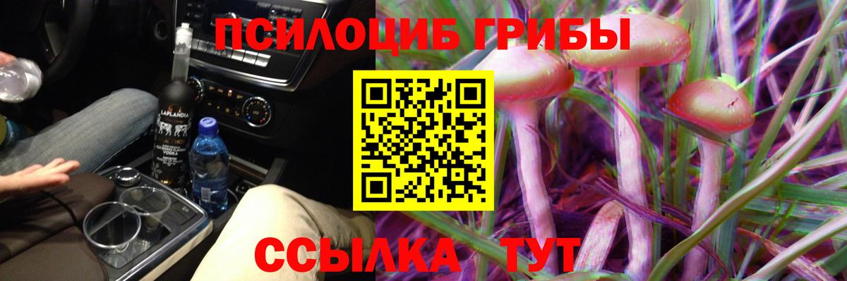 Бор  как найти закладки  Вход с VPN  Галлюциногенные грибы Cubensis 